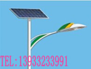 20瓦太阳能路灯TLD20